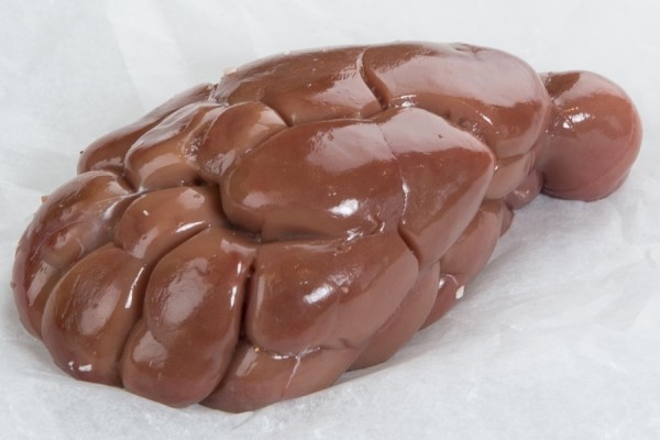 Frozen Veal Kidney - COOPAVEL - COOPERATIVA AGROINDUSTRIAL